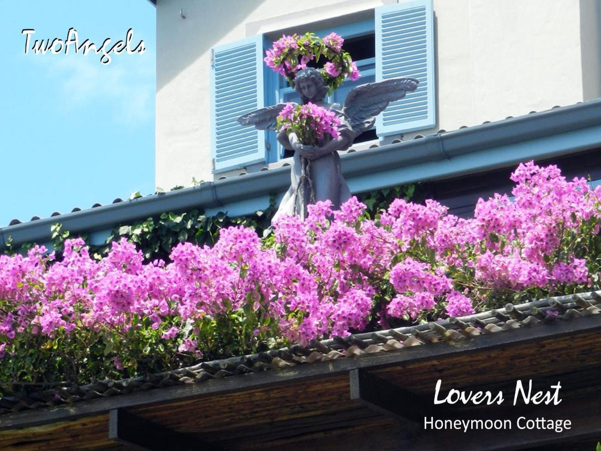 Twoangels Otel Knysna Dış mekan fotoğraf